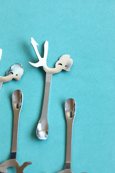 HF1 Teaspoon Set 6 Pcs